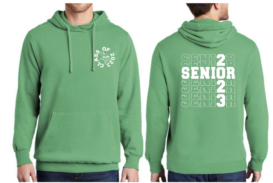 SENIORS CLASS of 2023 Garment Dyed Pullover Hoodie