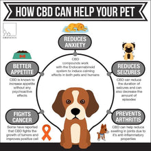 NATURE'S HEALTHCARE - 250mg Pet Calm 30 ml CBD Oil